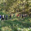 구불7길(신시도길) 이미지