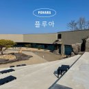 포항 흥해 신상카페 플루아 내돈내산 솔직 후기