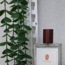 풀잎유통 | 섬유향수 섬유탈취제 룸스프레이 옷냄새제거 패브릭퍼퓸 수제향수 니치향수 드레스퍼퓸추천 - 소향아...