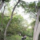 해송공원 이미지