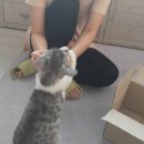 아이산산부인과의원 이미지