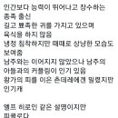 엘프PC방 이미지