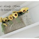 오렌지문 이미지