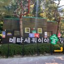 메타세쿼이아길 공중화장실 이미지