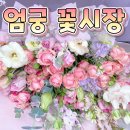 WR(부산광역시 사상구)-[강변대로]-하-51 | 부산 꽃시장 엄궁 화훼단지 ( 엄궁 꽃시장 ) 꽃다발 후기 #LANILANI