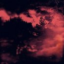 발안시장 이미지