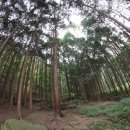 성수산자연휴양림 이미지