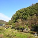 대구부수성비 이미지