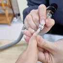 루시네일(LUCY NAIL)