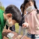 4월 17일 : 4월의 맹산생태학습원🌳 이미지