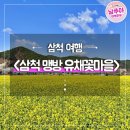 상맹방1리마을회관 | 삼척 맹방유채꽃마을 🌸 강원도가족여행