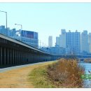 갈맷길8-2 이미지