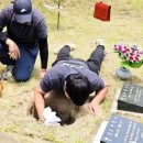 충청상조의전 네이버블로그