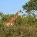 SUN STAY HOTEL 이미지