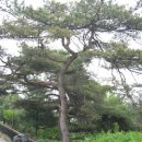 효자마을 이미지