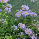 화성반월중학교 이미지