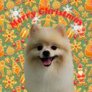 메모리멍 이미지