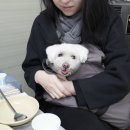 진희수산 이미지
