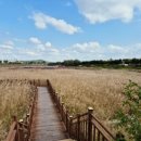 씨사이드파크 텐트캠핑장화장실 이미지