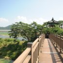 처연의 소리 이미지