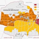 노엘(NOEL) 이미지