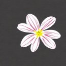 아름중학교 이미지