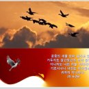 찬송가 / 588장 공중 나는 새를 보라 이미지