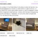 러브펫 반려동물장례식장 | 부산 반려동물 장례식장, 후회없이 준비하려면? 비용, 후기 총정리