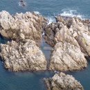 바다에 남은 왕 / 김성문 이미지
