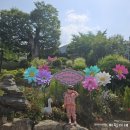 부산근교 동물원 대구 아이랑 가볼 만한 곳 『네이처파크 동물원』블라인드특가 / 폐쇄특가 / 핫딜로...