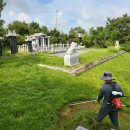 세움 태양광발전소 이미지