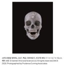 현대의상(초급/야간) | 데미안 허스트 전시 국립현대미술관 총정리 (무료 관람 팁 + 할인 예약 방법 + 관람료)