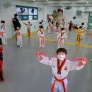 강담태권도 이미지