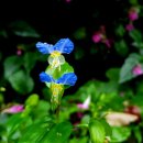 지방도925호선 이미지