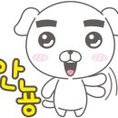 동원스팀세차 이미지