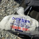 성주 풀꽃이랑 캠핑장