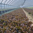 오기농장 이미지