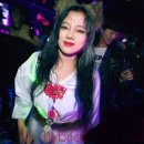 마녀빗자루 이미지