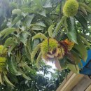 더솔펜션 이미지