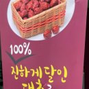 안가네대추빵부산