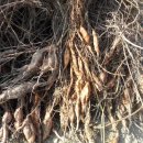 석양초등학교-2 이미지