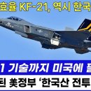 카푸어 된 美정부 '한국산 전투기에 눈독' 이미지