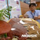 영지축산 뉴시스