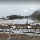 여주-1035 이미지