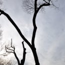 남문공영주차장 이미지