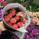 영동문고주 이미지