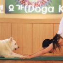 그랑샤리오 이미지