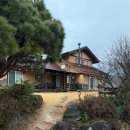 산청바이브 이미지