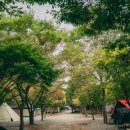 맑은물소리캠핑장 이미지