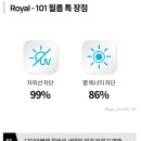 로얄카 이미지